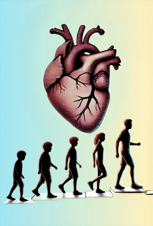 Obesity and Cardiometabolic Risk Factors